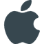 Apple Store icon